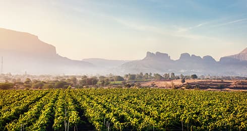 Top 9 Things to Do in Nashik: Updated Activities list, Location
