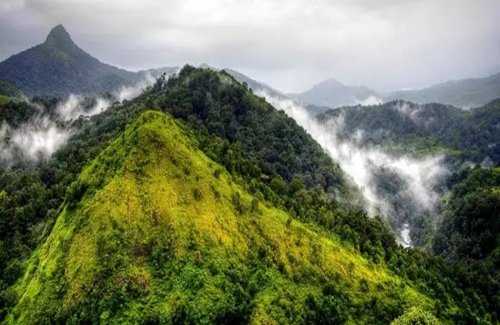 Silent Valley National Park