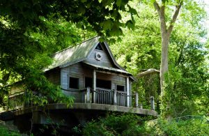 Tree House in Munnar