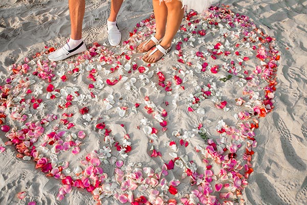 banner-image