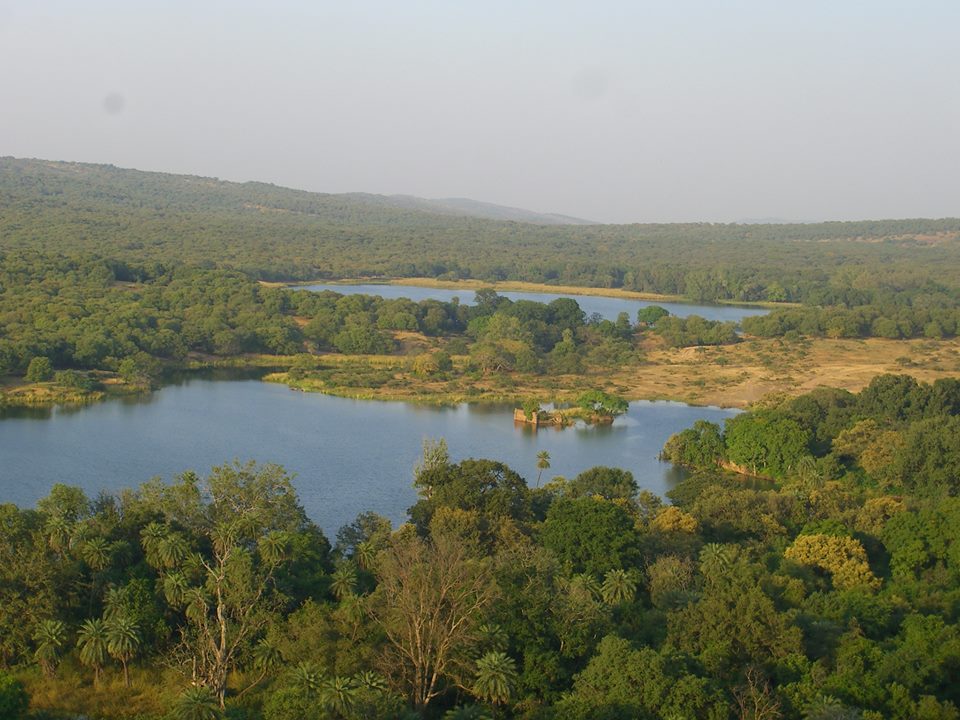 Ranthambore National Park | Hill Places