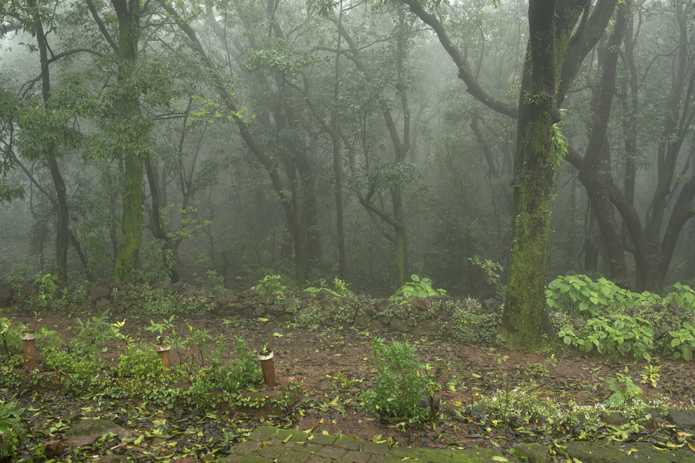 Matheran | #4 of 10 Best Weekend Getaways near Mumbai Matheran