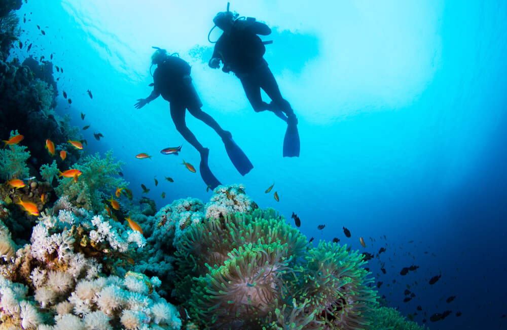 Scuba Diving in Andaman