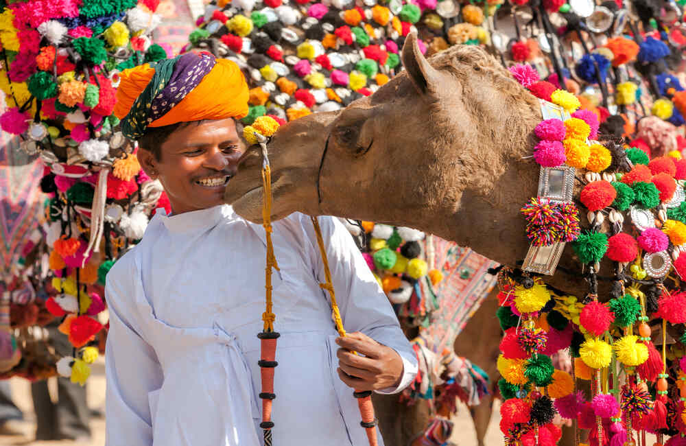 camel ride in Pushkar