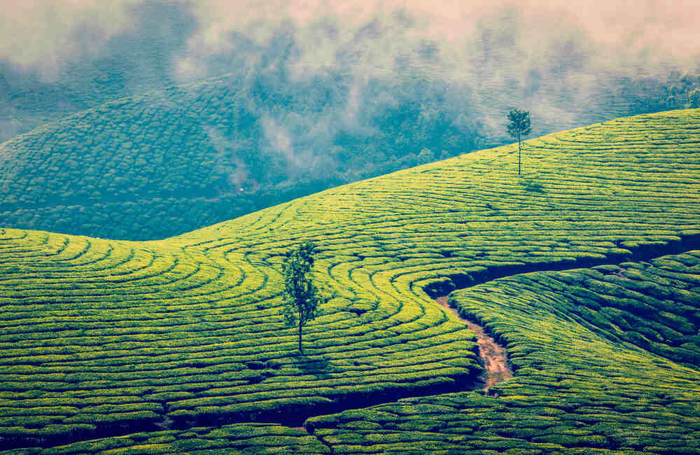 Munnar