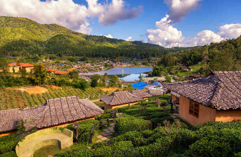 Ooty, Tamil Nadu