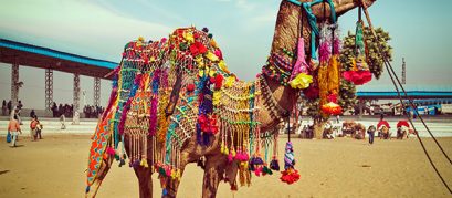 A Handy Guide to Pushkar Fair 2019