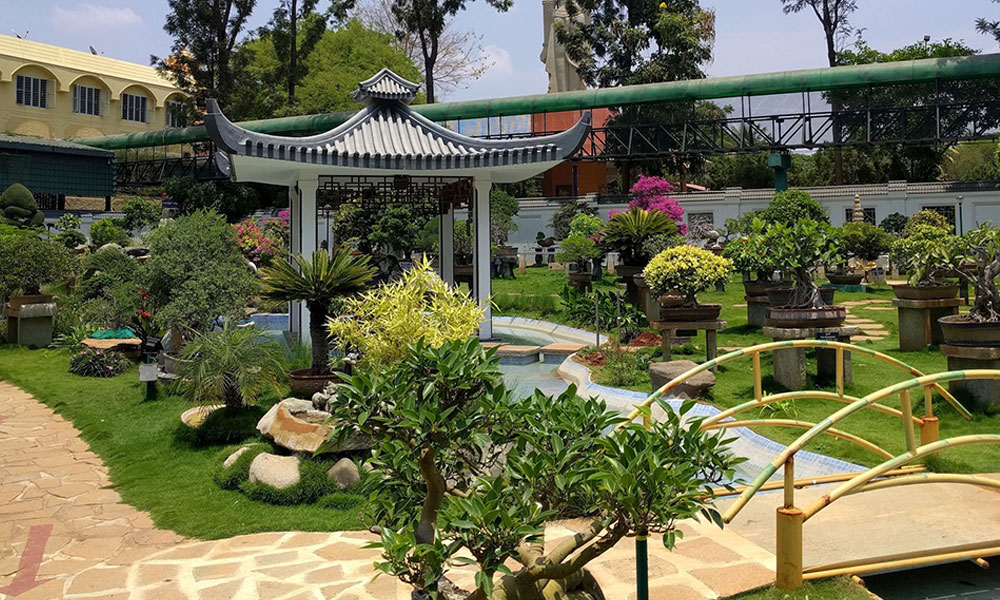 Kishkindha Moolika Bonsai Garden