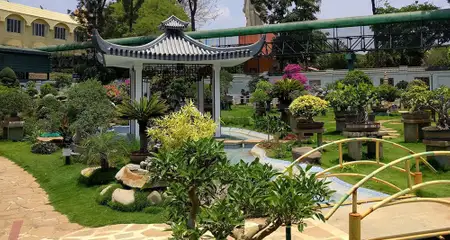 banner-image