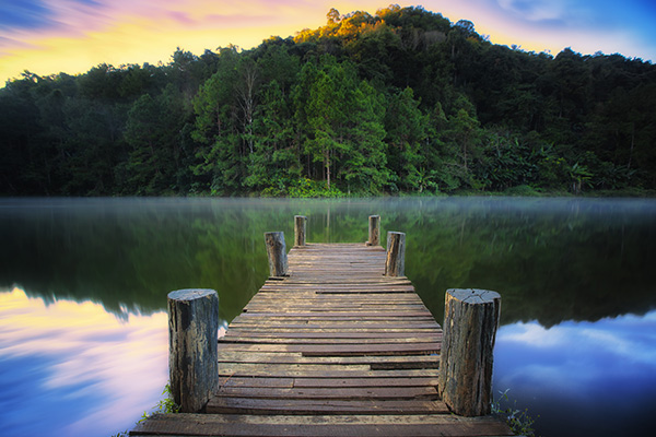 banner-image