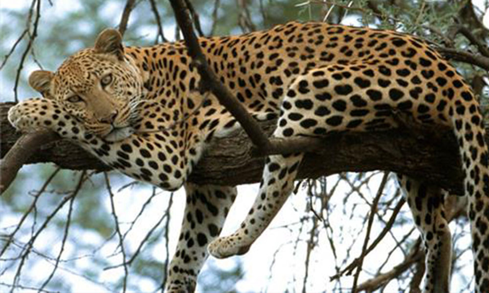 Saputara | #7 of 9 Offbeat Weekend Getaways near Mumbai Saputara | Offbeat Weekend Getaways near Mumbai