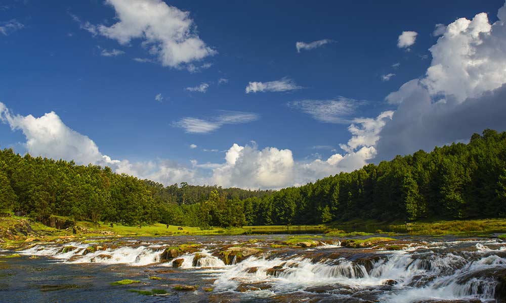 Pykara Waterfalls and Lake