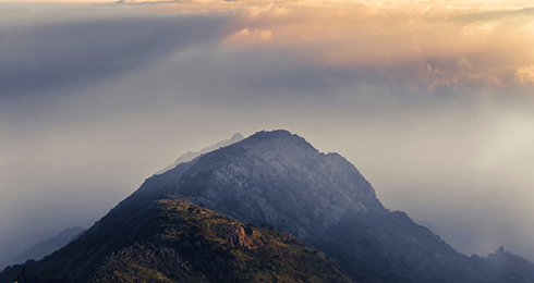 Top Things to Do on Your Ooty in 2024 Updated Activities list