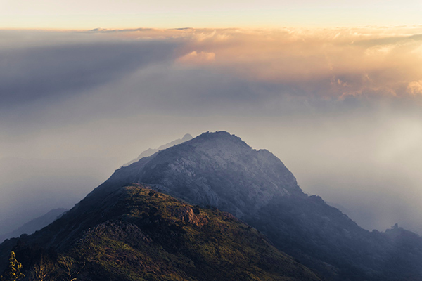 banner-image