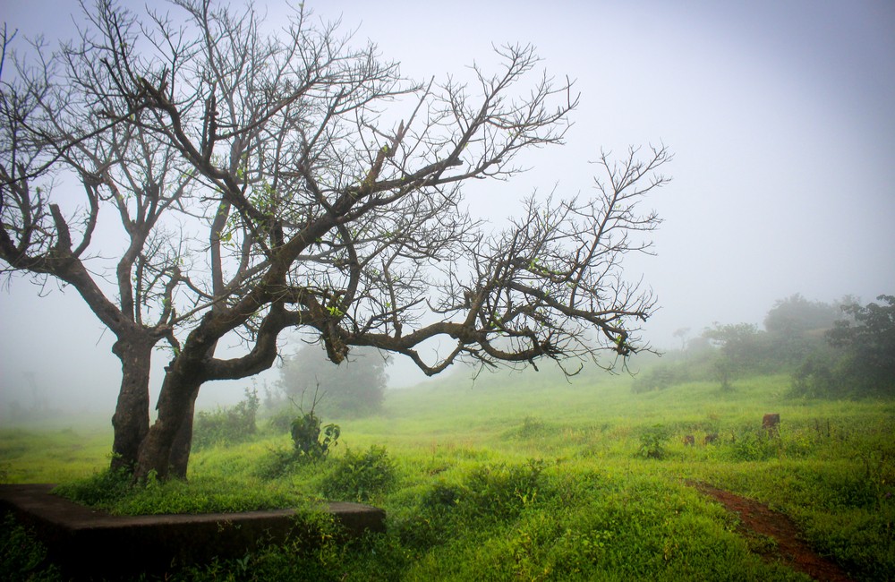 Amboli| Weekend Getaways near Pune within 200 km