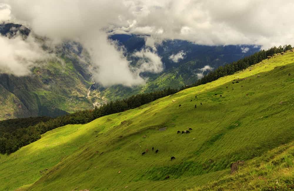 Auli : Switzerland of India 