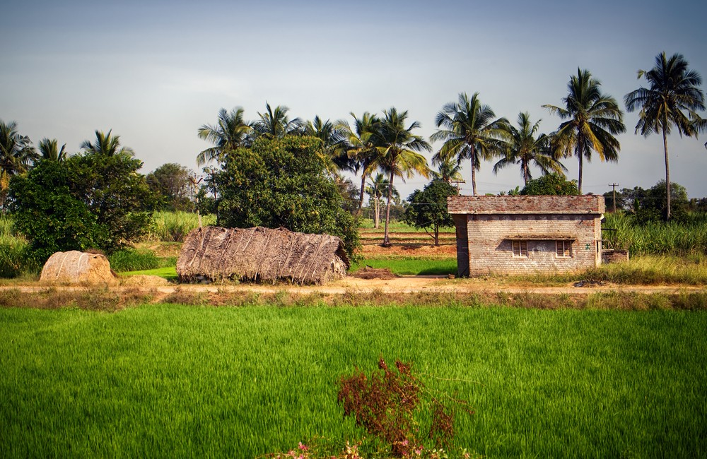 जुन्नार