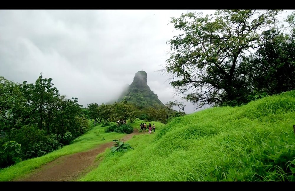 Karnala Bird Sanctuary | Weekend Getaways near Pune within 200 Km