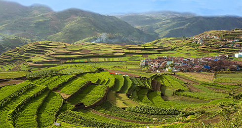 Best Things to do in Kodaikanal with Updated Activities list