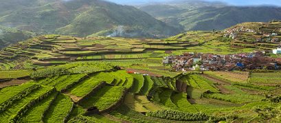 Things to do in Kodaikanal