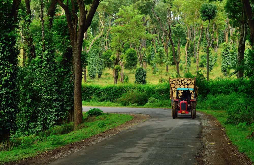 कूर्ग (250 किमी)