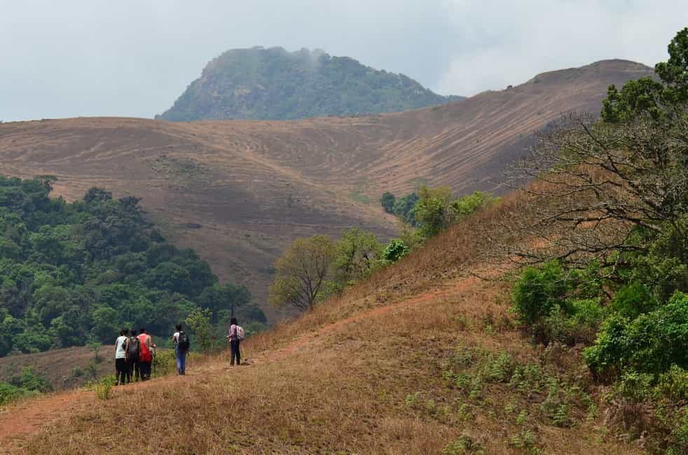 Kodachadri | 3 of 3 Hill Stations near Bangalore within 400 km