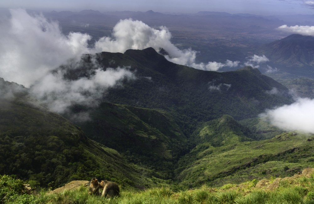 Things to do in Kodaikanal