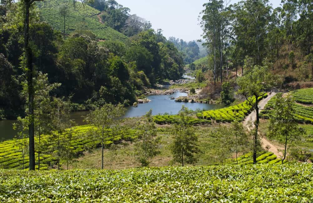 Valparai Tamil Nadu