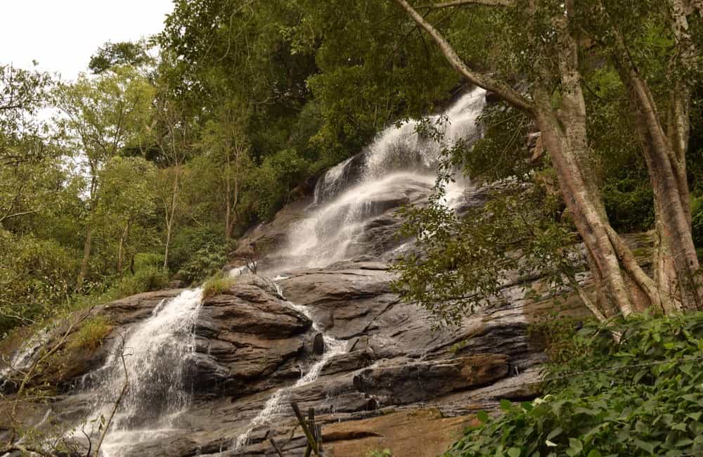 Yercaud, Bangalore