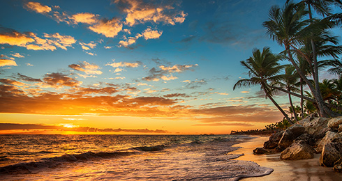 Stunning Beaches near Coimbatore For Wholesome Experience 2024