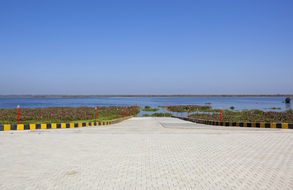 Harike Wetland, Amritsar