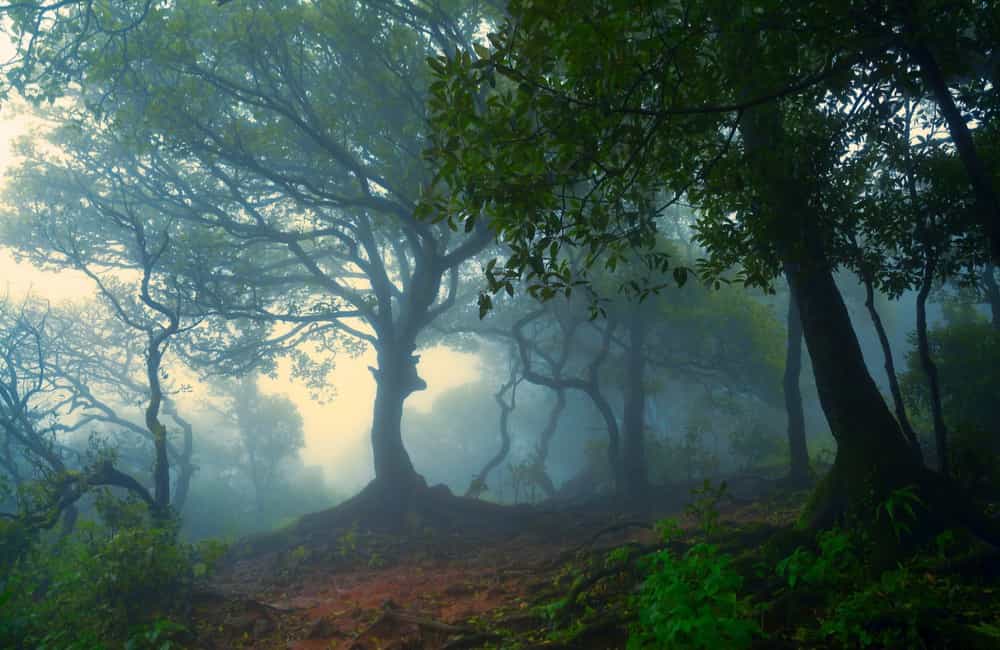 Mahabaleshwar