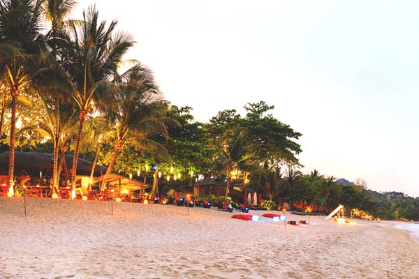 banner-image