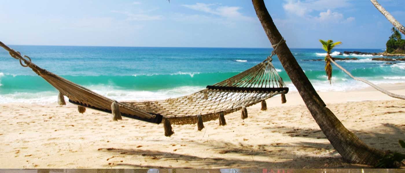 banner-image