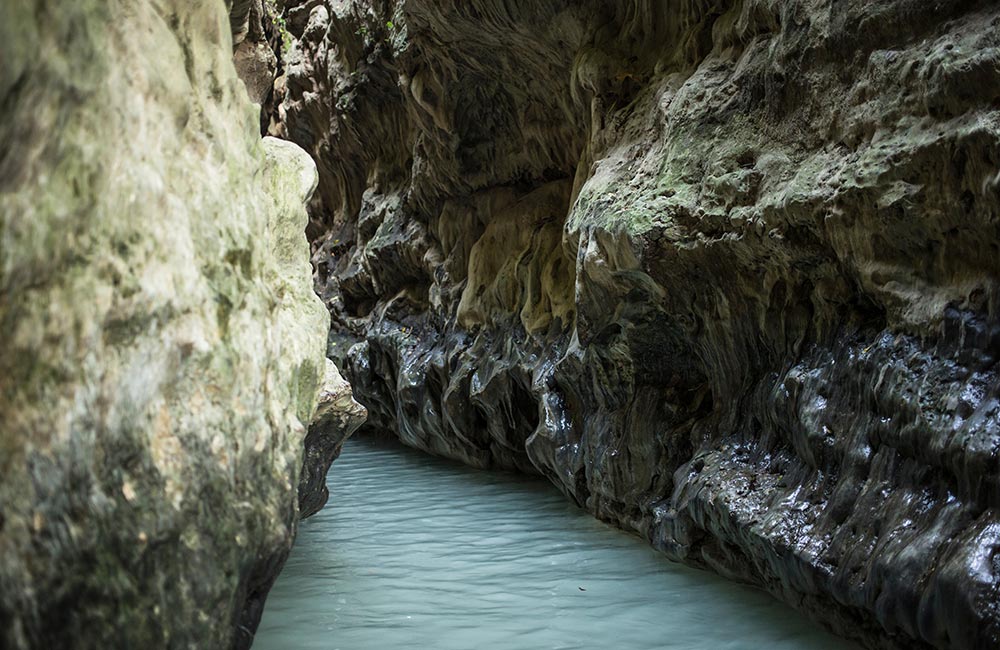 Robber’s Cave | Places to visit in Dehradun