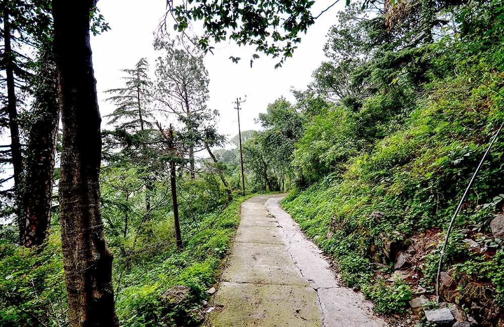 Kasauli (57.9 km)