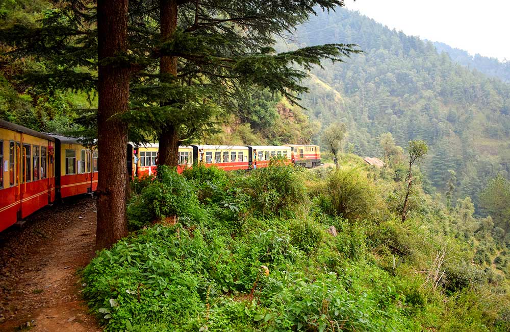 Shimla (110 km)