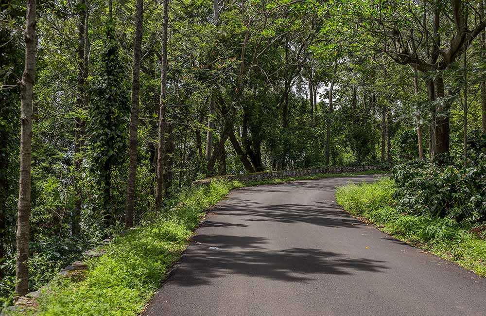 Yercaud | Hill Stations near Chennai within 400 km