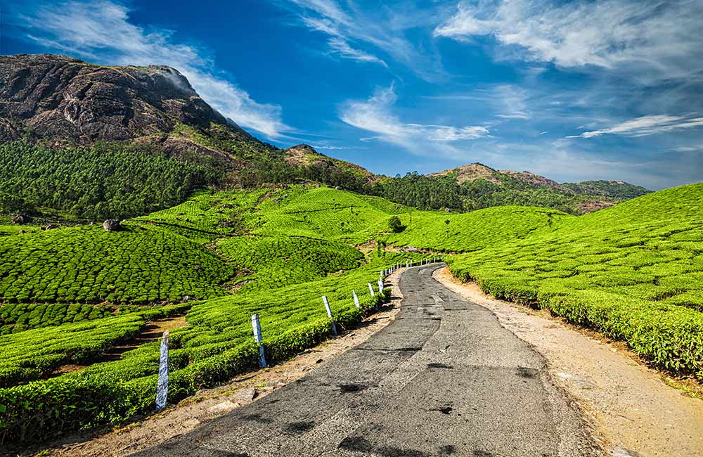 Munnar Tea Plantations | Best Bollywood Locations in India