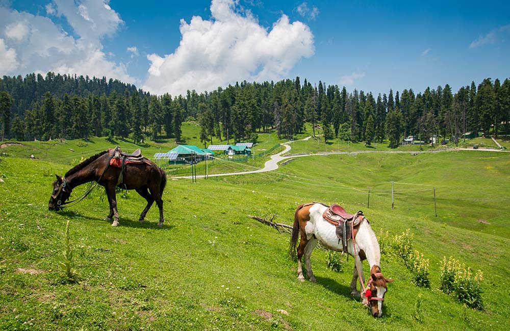 Gulmarg | Best Bollywood Locations in India