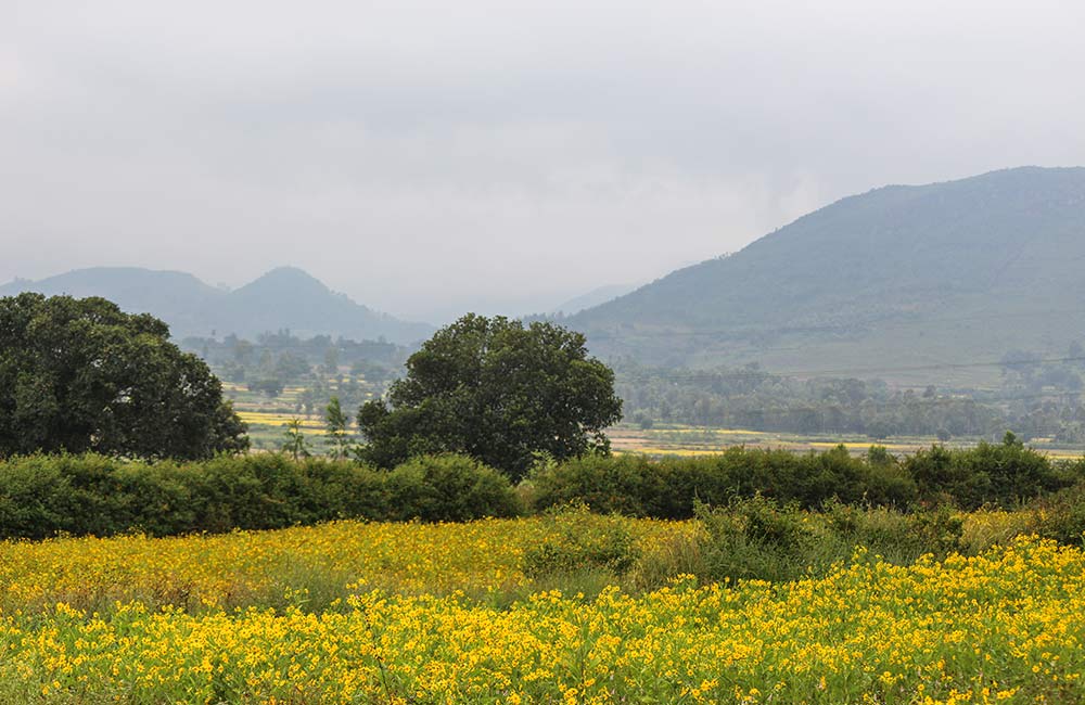 Araku Valley, Visakhapatnam