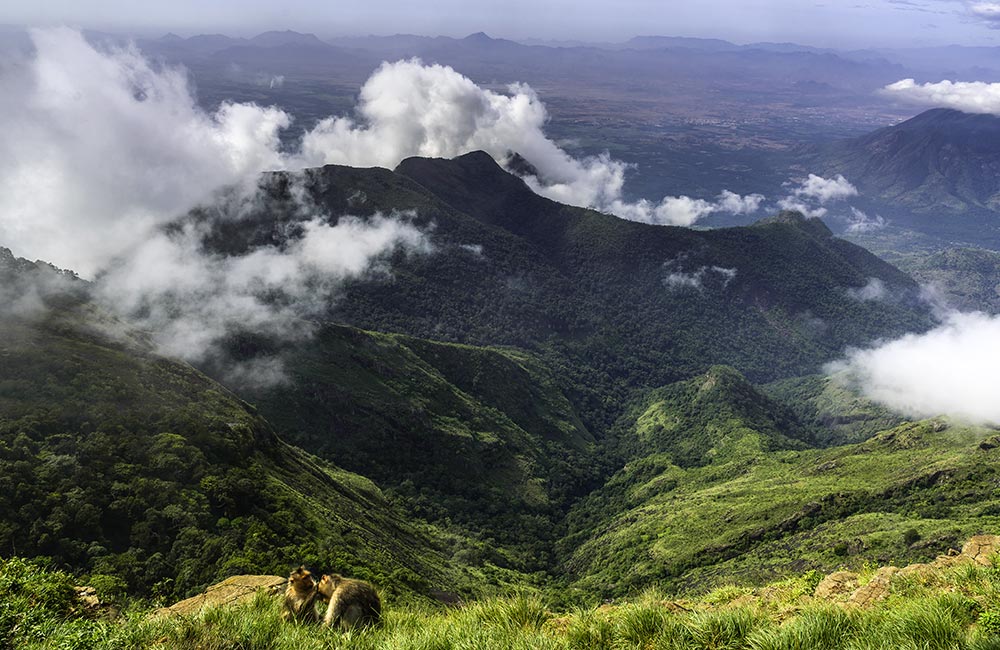 Moir Point, Kodaikanal