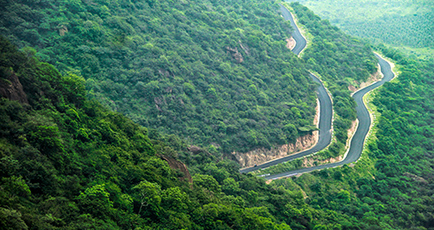 18 Tourist Places in Kodaikanal 2024: ✔ Entry Fee, Timings