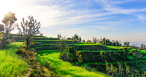 10 Things to Do in Dehradun with Activities List & Location