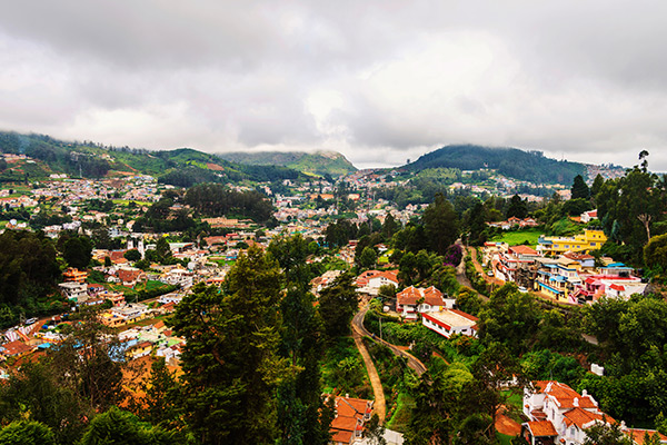 banner-image