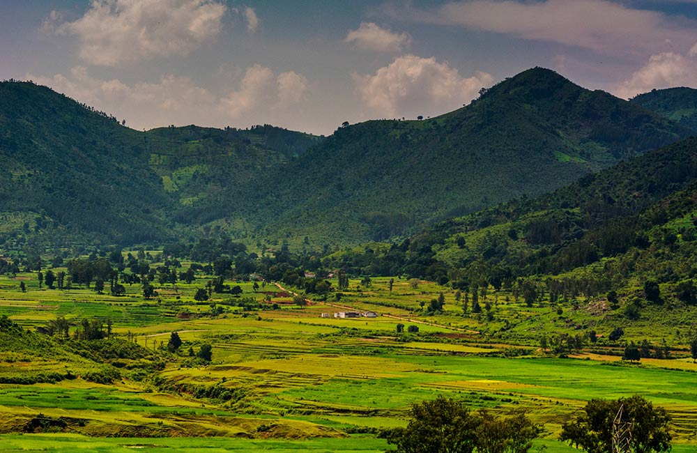 Araku Valley