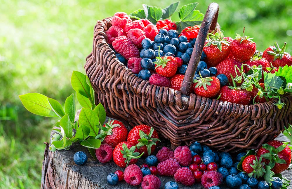 Berries Shopping | Places for Shopping Visit in Mahabaleshwar