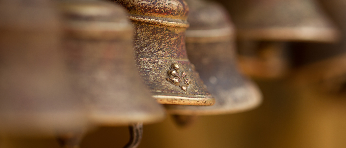 banner-image
