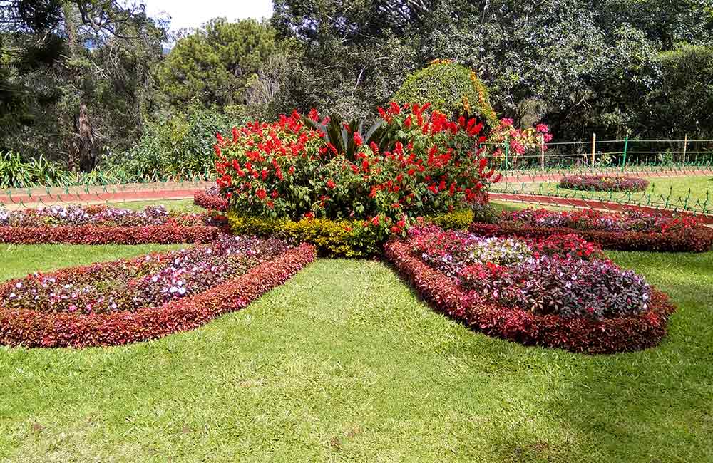 Government Botanical Gardens,Ooty
