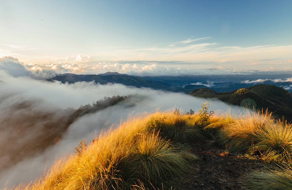 Meesapulimala | Best Places to Visit on Munnar Tour